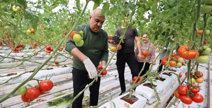 ​​​​​​​Aziziye’nin termal seralarında yeni dönem