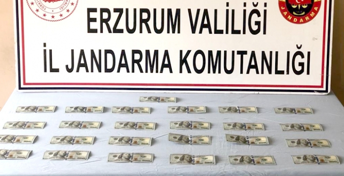 Erzurum’da 2 bin 500 sahte dolar ele geçirildi