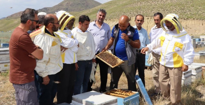 Erzurum'da arıcılara ana arı üretimi öğretildi