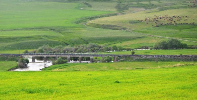 Erzurum mera ve çayır zengini