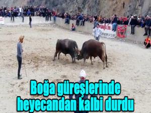 Boğa güreşlerinde heyecandan kalbi durdu