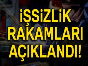 İşsizlik oranı yüzde 10,8 seviyesinde