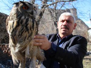 Yaralı olarak bulunan puhu kuşu tedavi altına alındı