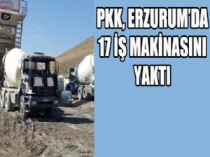 PKK, Erzurum'da 17 araç yaktı...