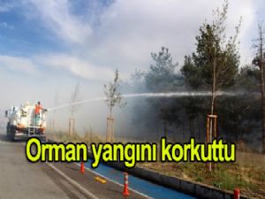 Orman Yangını Korkuttu