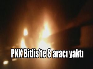 Bitlis'te yol kesen PKK'lı teröristler 8 aracı yaktı