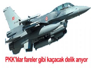 PKK'lılar, fareler gibi kaçacak delik arıyor