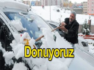 Donuyoruz