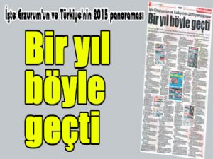 Bir yıl böyle geçti