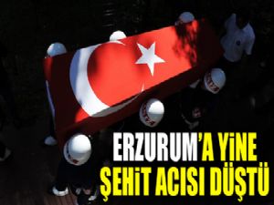 Erzurum'a yine şehit acısı düştü