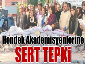 Hendek Akademisyenlerine SERT TEPKI