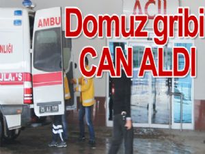 Domuz gribi CAN ALDI