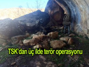 TSK'DAN ÜÇ İLDE TERÖR OPERASYONU