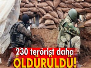 Nusaybin'de 230 terörist etkisiz hale getirildi