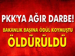 PKK'nın sözde bölge sorumlusu öldürüldü!