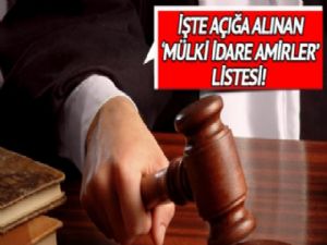 Mülki İdare Amirler listesi