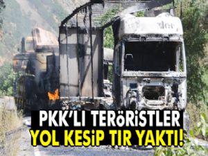 PKK, Çat-Karlıova yolunda 3 TIR'ı ateşe verdi