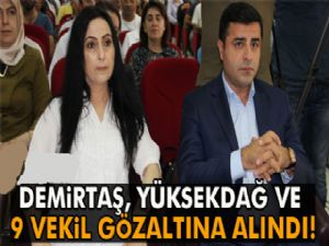 Demirtaş, Yüksekdağ ve 9 HDP'li vekil gözaltına alındı