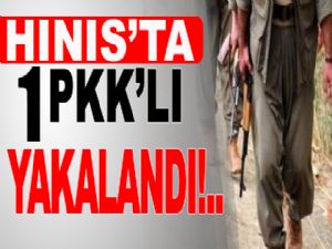 Hınıs'ta 1 PKK'lı terörist yakalandı