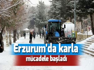 Erzurum'da karla mücadele başladı
