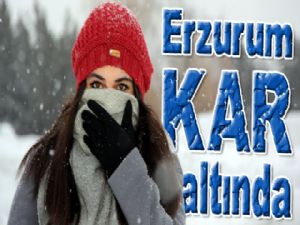 Erzurum kar altında