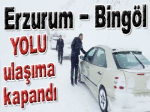 Erzurum - Bingöl yolu ulaşıma kapandı