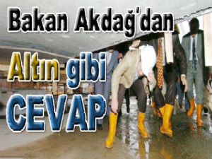 Bakan Akdağ'dan 'altın' gibi cevap