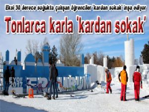 Tonlarca karla Erzurum'da 'kardan sokak' 
