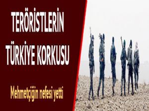 Teröristleri Türkiye korkusu sardı! Mehmetçiğin nefesi yetti