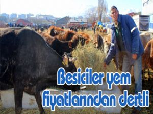 Besiciler yem fiyatlarından dertli