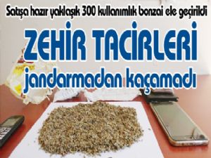 Satışa hazır hale getirilmiş yaklaşık 300 kullanımlık bonzai ele geçirildi