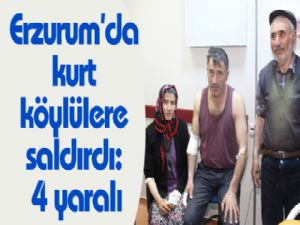 Erzurum'da kurt köylülere saldırdı: 4 yaralı