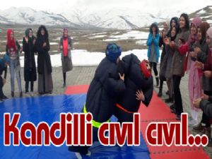 Kandilli cıvıl cıvıl...