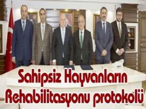 Sahipsiz Hayvanların Rehabilitasyonu protokolü