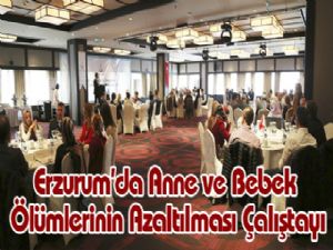 Erzurum'da Anne ve Bebek Ölümlerinin Azaltılması Çalıştayı