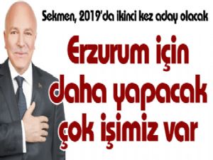 Erzurum için daha yapacak çok işimiz var 