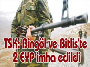 TSK: Bingöl ve Bitlis'te 2 EYP imha edildi