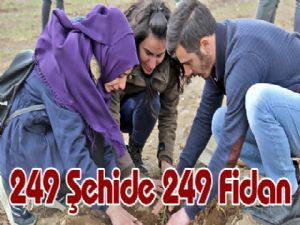 249 Şehide 249 Fidan