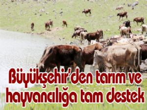 Büyükşehir'den tarım ve hayvancılığa tam destek