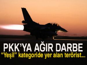 'Yeşil' kategoride yer alan terörist etkisiz hale getirildi