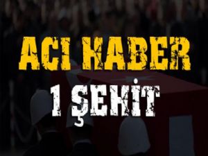 Van'dan acı haber: 1 şehit