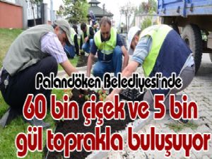 Palandöken Belediyesi'nde 60 bin çiçek ve 5 bin gül toprakla buluşuyor