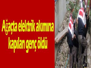 Ağaçta elektrik akımına kapılan genç öldü