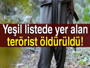 Lice'de etkisiz hale getirilen iki terörist yeşil listede