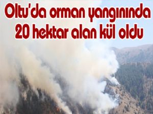 Oltu'da orman yangınında 20 hektar alan kül oldu