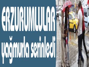 Erzurum yağmurla serinledi