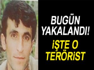 Tunceli'de savcıyı şehit eden terörist yaralı olarak ele geçirildi