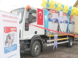 Bingöl'den Erzurum'a günde 5 ton süt geliyor