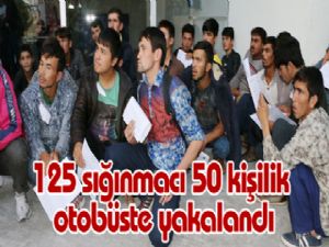 125 sığınmacı 50 kişilik otobüste yakalandı