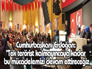 Cumhurbaşkanı Erdoğan: 